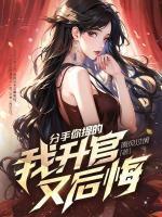 分手你提的,我升官又后悔