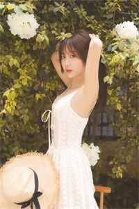 热门小说开局被贬基层,他靠气运平步青云