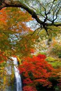 我靠生子扬名兽世完整文集阅读