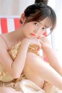 完整文集阅读登上官场巅峰,从打击恶势力开始