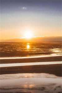 真千金太彪悍,五个大佬哥哥跪求原谅阅读全集