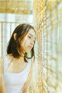 小姐,摄政王他又来爬墙了长篇小说