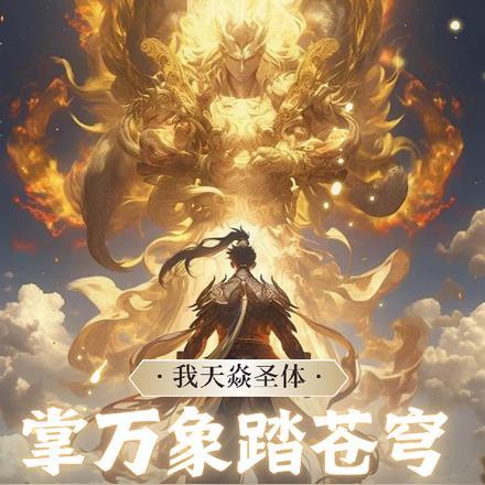 我天焱圣体,掌万象,踏苍穹