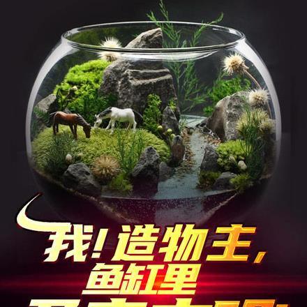 我!造物主,鱼缸里孕育文明!