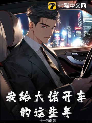 我给大佬开车的这些年