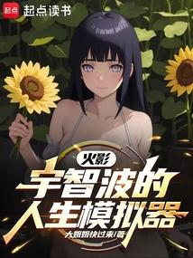 火影:宇智波的人生模拟器