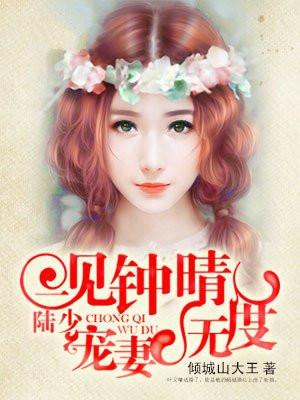 一见钟晴:陆少,宠妻无度