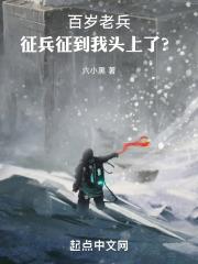 百岁老兵:机甲战舰时代