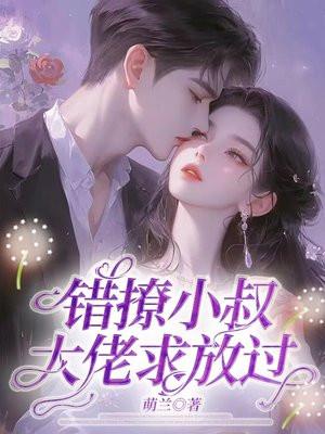 错撩小叔:大佬求放过