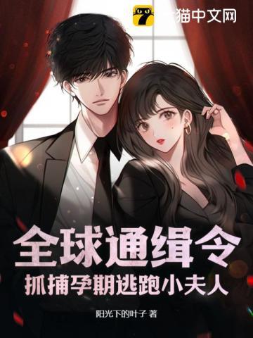 全球通缉令,抓捕孕期逃跑小夫人