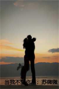 当我不爱你后:苏微微沈谨