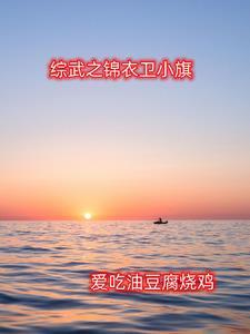 综武之锦衣卫小旗