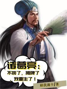诸葛亮重生,一切尽在掌握!