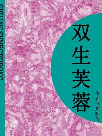 双生芙蓉(短篇)