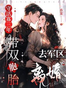 守活寡三年,带双胞胎去军区离婚