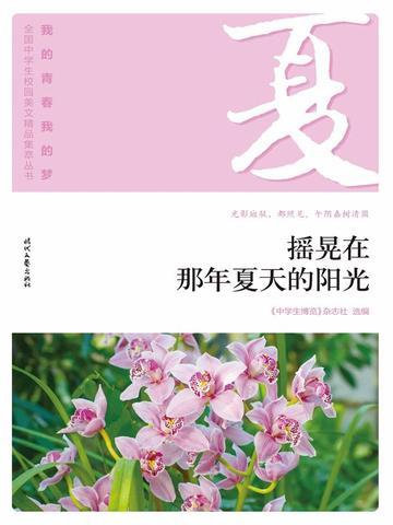 “我的青春我的梦”(夏)摇晃在那年夏天的阳光