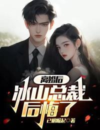 离婚后,冰山总裁后悔了