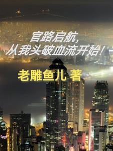 官路启航,从我头破血流开始!