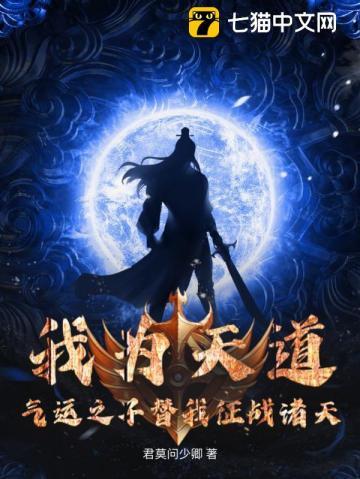 我为天道,气运之子替我征战诸天