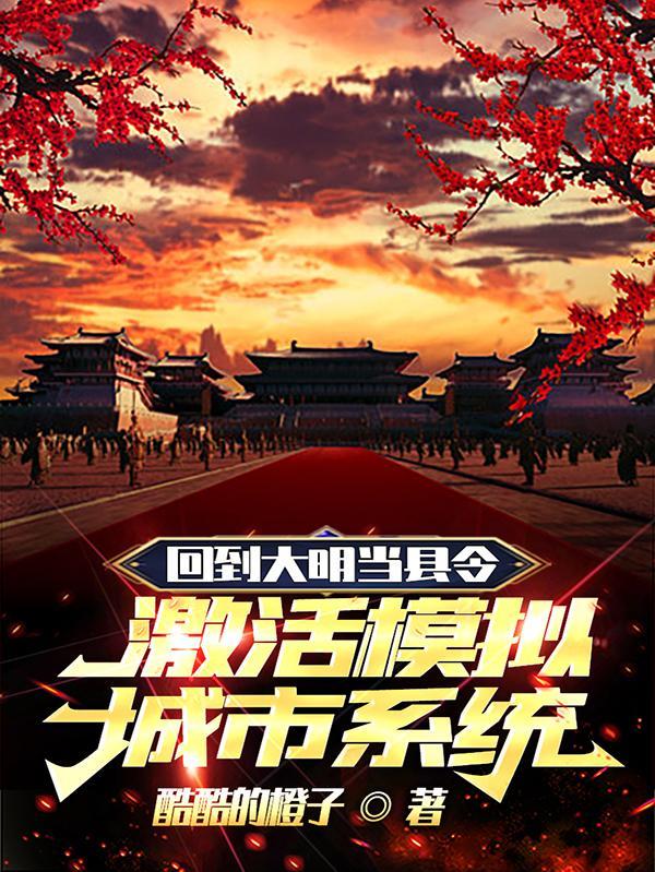 回大明当县令,激活模拟城市系统