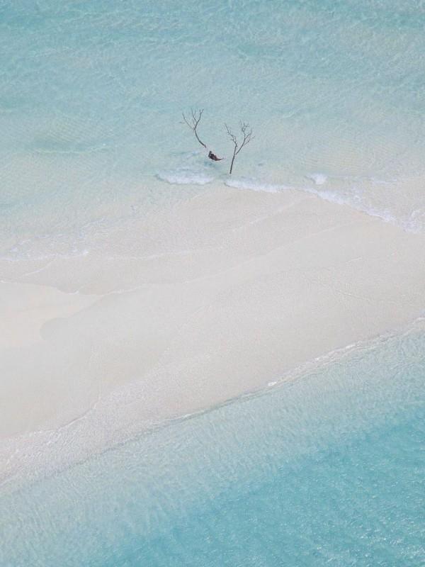 老公输光彩礼,我在赌局中扭转乾坤