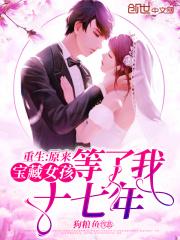 重生:原来宝藏女孩等了我十七年