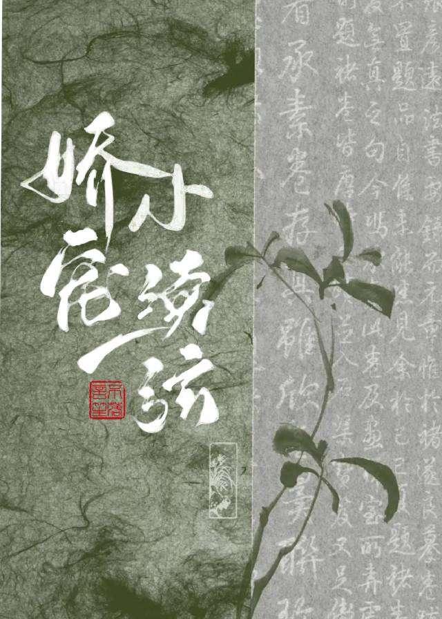 世子小夫人笨蛋日常