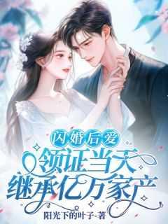 闪婚后爱,领证当天继承亿万家产