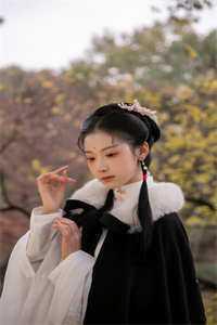 人在北宋,开局以三寸之舌战少林完整版