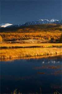 完整版穿越:直播古墓,我全网爆火了