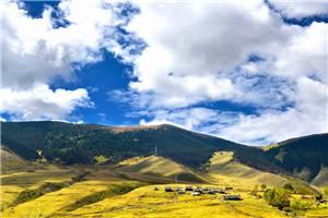 反派系统上线,我干掉主角夺气运完整作品阅读