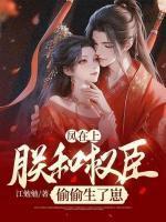 凤在上:朕和权臣偷偷生了崽