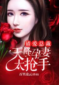 错爱总裁:天降孕妻太抢手