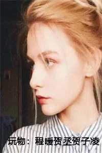 玩物:程暖贺丞贺子凌