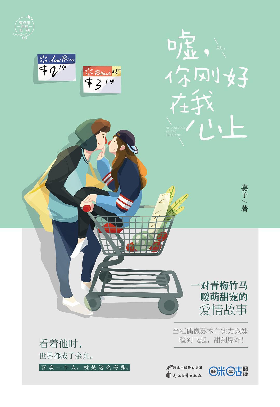 可否摘星辰(嘘,你刚好在我心上)